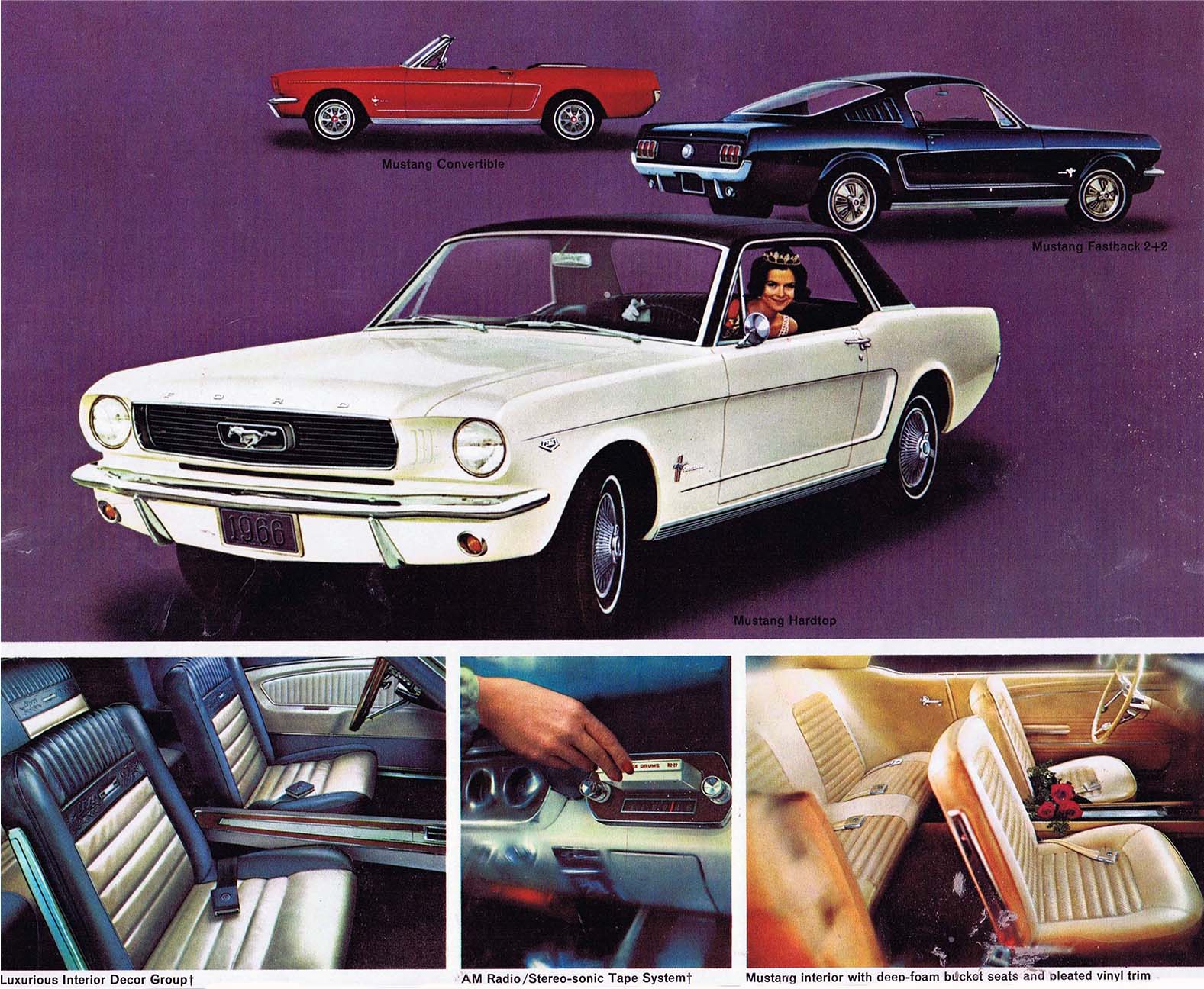 1965 / 1966 - Interni della Mustang